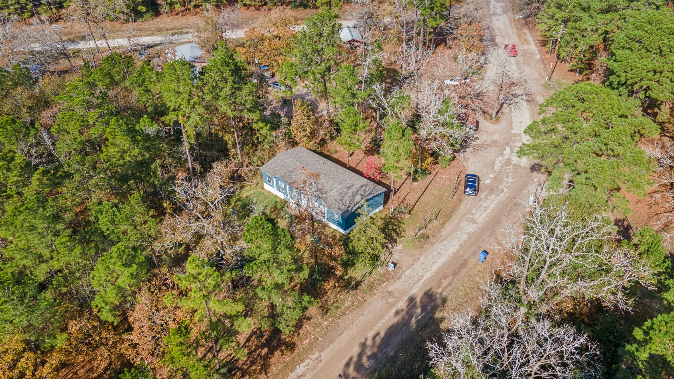 146 Marina Drive Trinity, TX 75862 - Photo 34 of 34 a view of a yard with plants