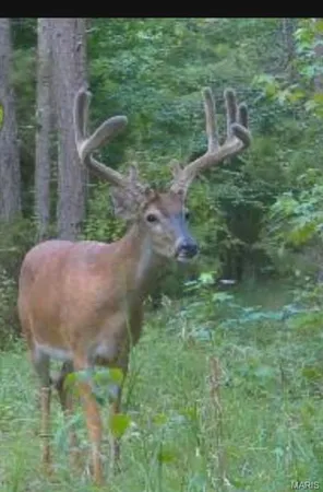 $438,500 | 17771 Annapolis Drive, Glenallen, MO 63751