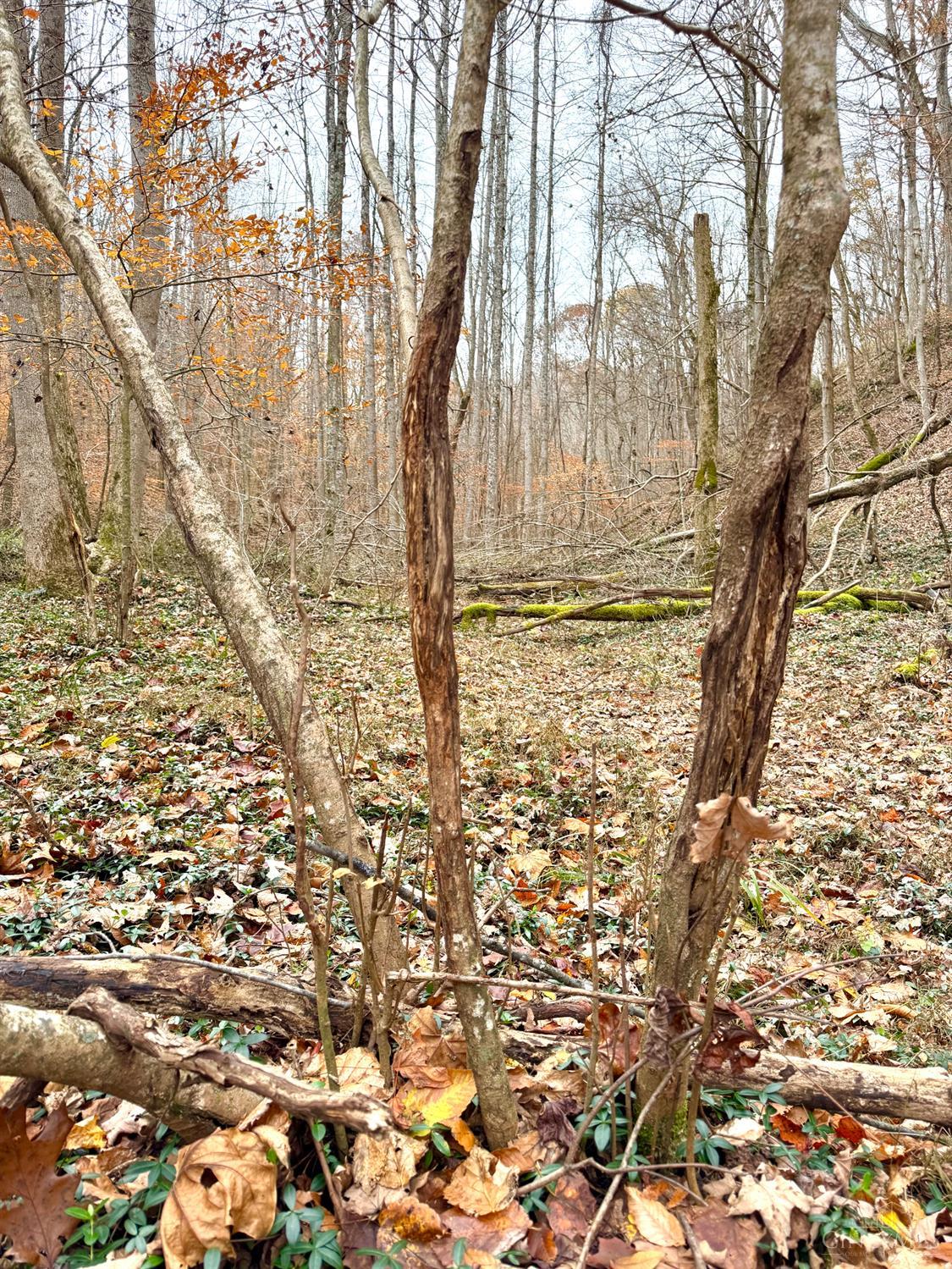 0 South Chenoweth Fork Road Piketon, OH 45661 - Photo 27 of 95