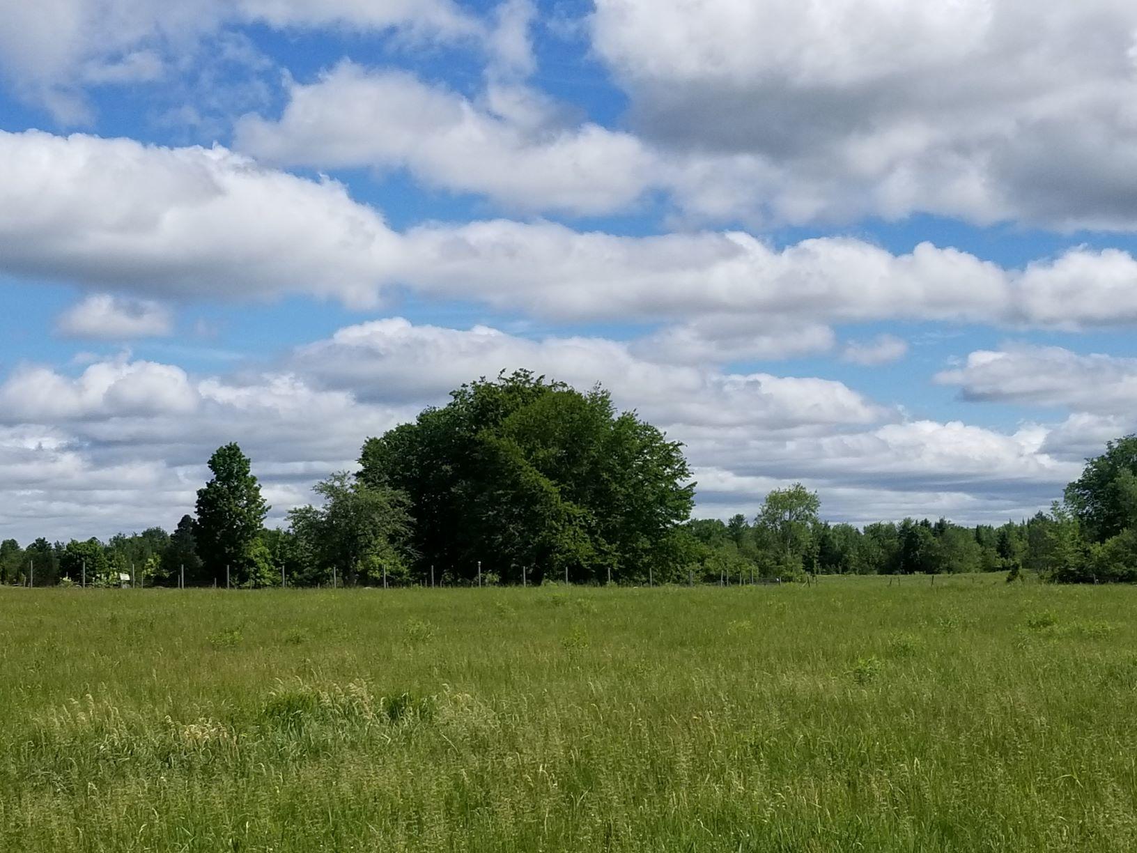 77 Middle Road Bradford, ME 04410 - Photo 40 of 44 Field view to east