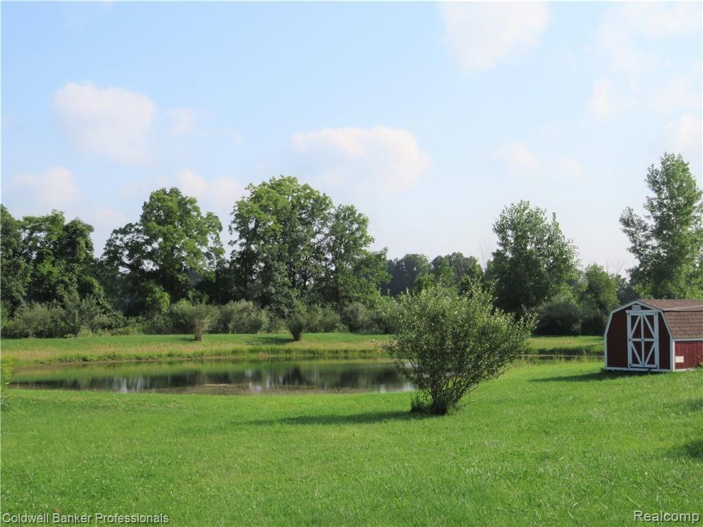 1485 Lansing Road Morrice, MI 48857 - Photo 26 of 30 23 1485 Pond.JPG