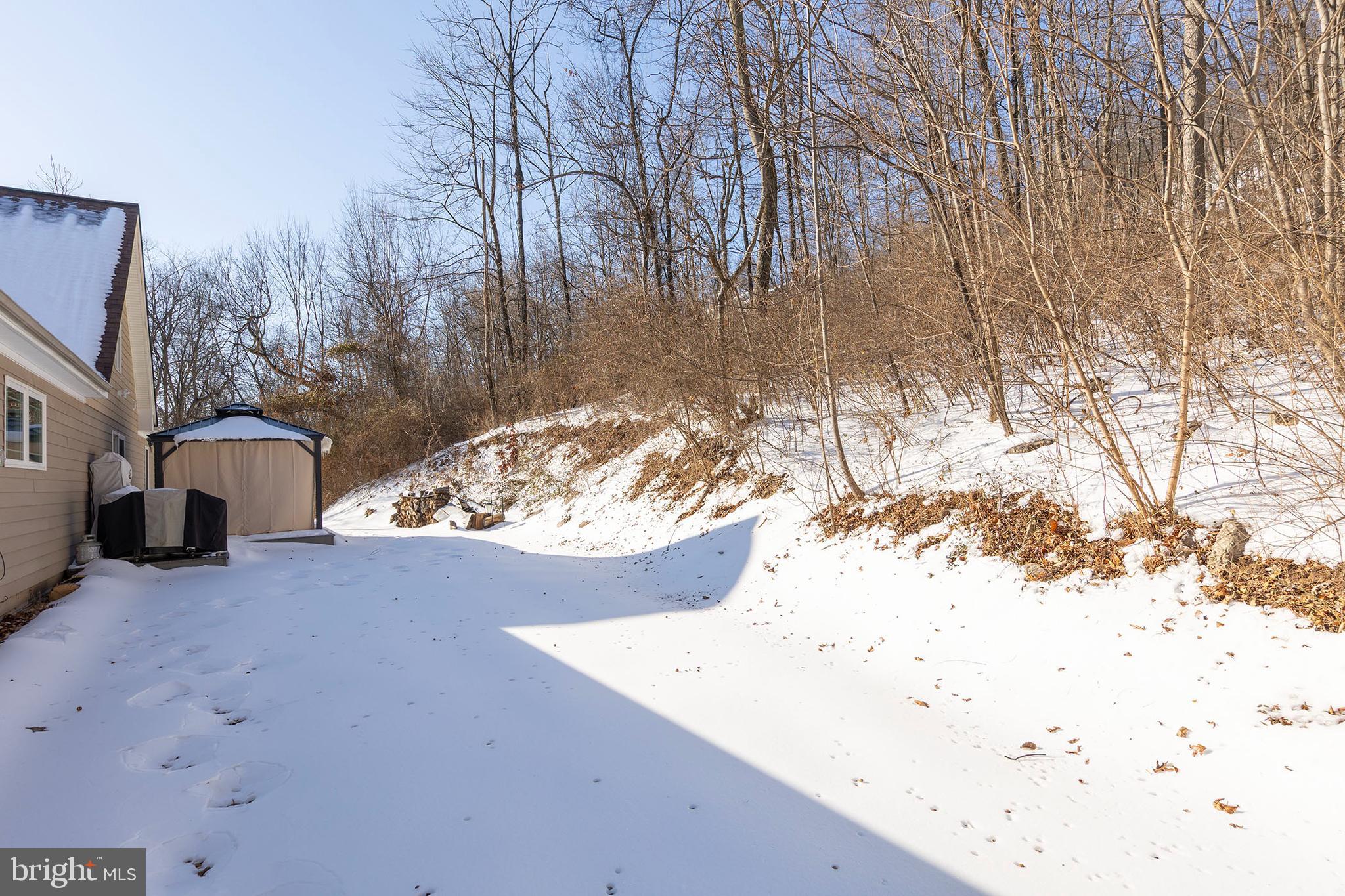 189 Babbs Mountain Road Winchester, VA 22603 - Photo 11 of 12