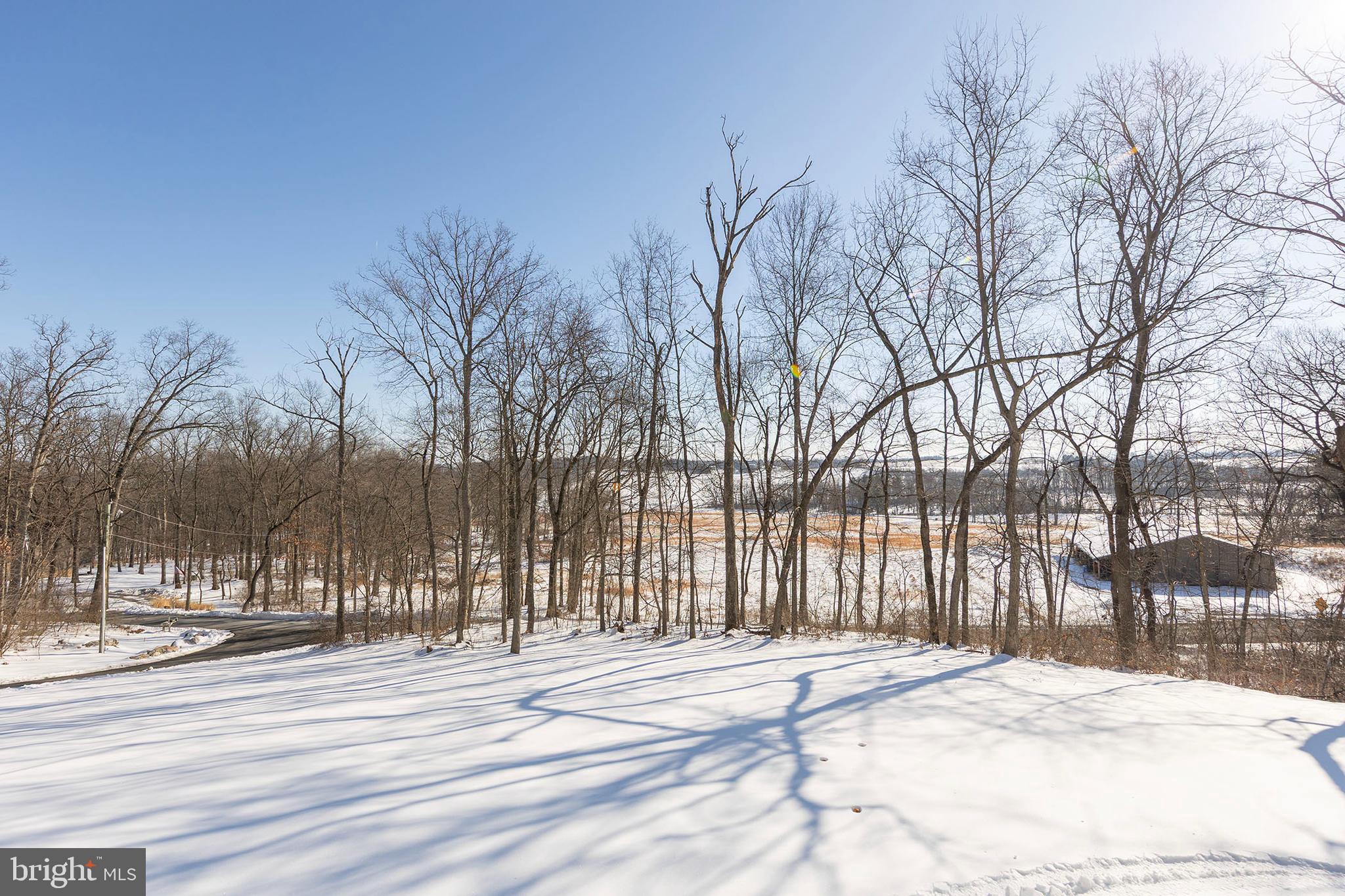 189 Babbs Mountain Road Winchester, VA 22603 - Photo 4 of 12