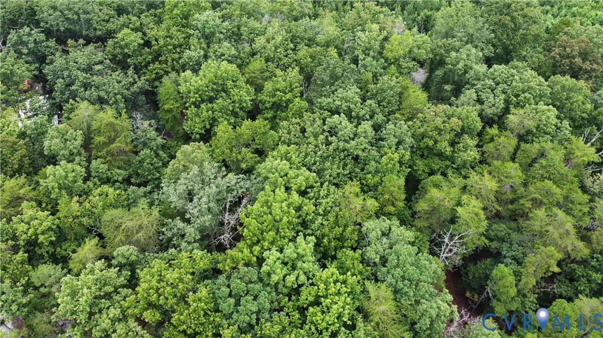 4844 Fox Lair Road Gum Spring, VA 23065 - Photo 2 of 7 a view of a lush green forest