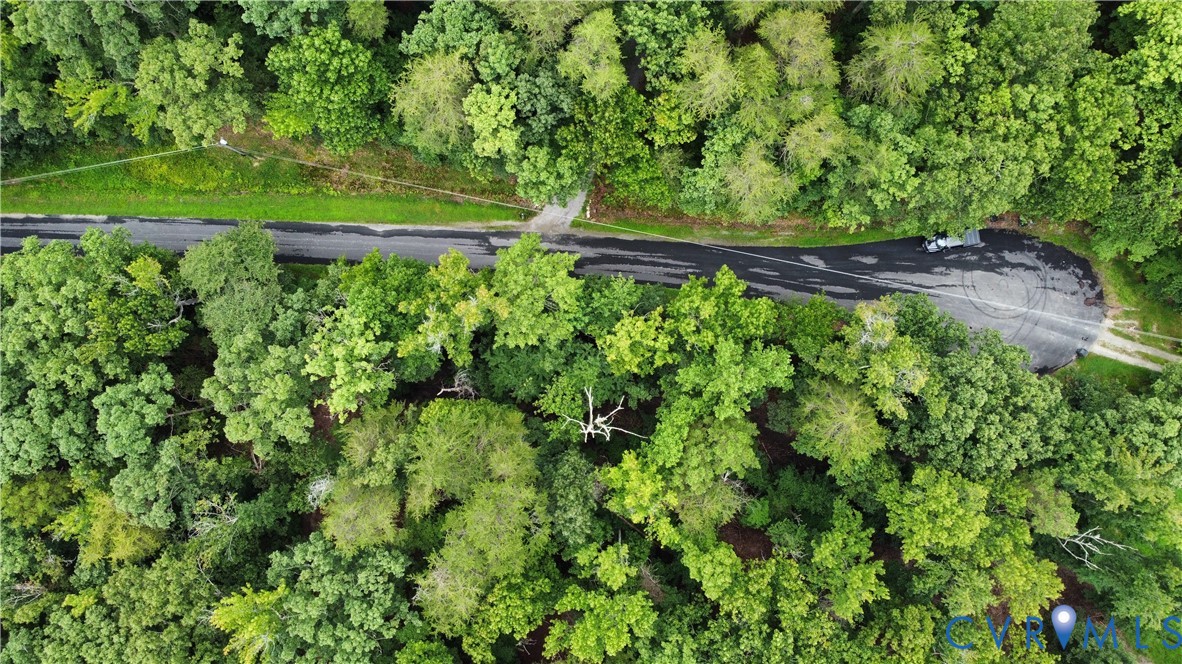 4844 Fox Lair Road Gum Spring, VA 23065 - Photo 4 of 7 a view of statue in a garden