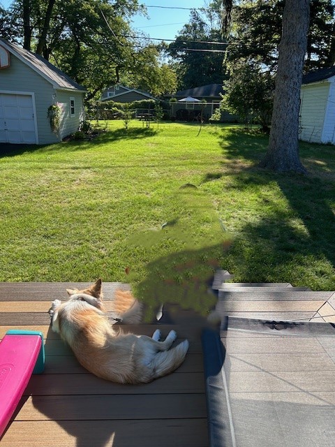 36 Walbert Drive Gates, NY 14624 - Photo 6 of 49