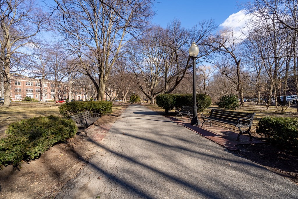 135 Freeman Street, Unit 1A Brookline, MA 02446 - Photo 18 of 22