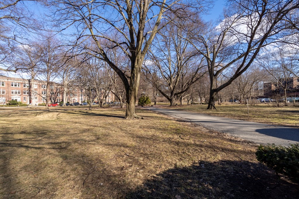 135 Freeman Street, Unit 1A Brookline, MA 02446 - Photo 19 of 22 a view of road with covered with snow