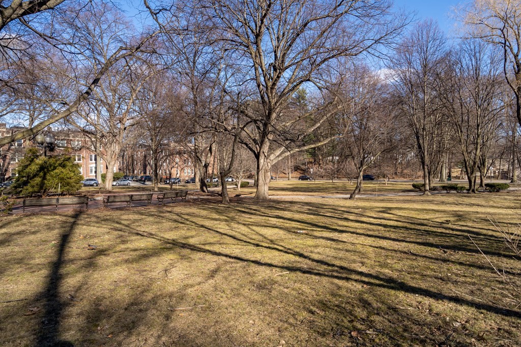 135 Freeman Street, Unit 1A Brookline, MA 02446 - Photo 20 of 22 a view of city view