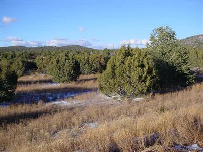 0 Howard Mesa Ranch Williams, AZ 86046 - Photo 1 of 1 Primary Photo