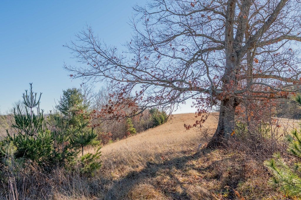 1530 Ridge Road Austinville, VA 24312 - Photo 49 of 62 Gallery Image 49