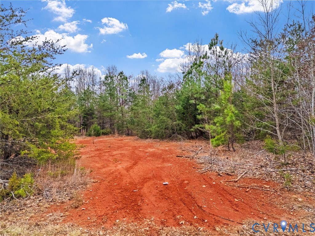 0 Hall Road Buckingham, VA 23921 - Photo 11 of 13
