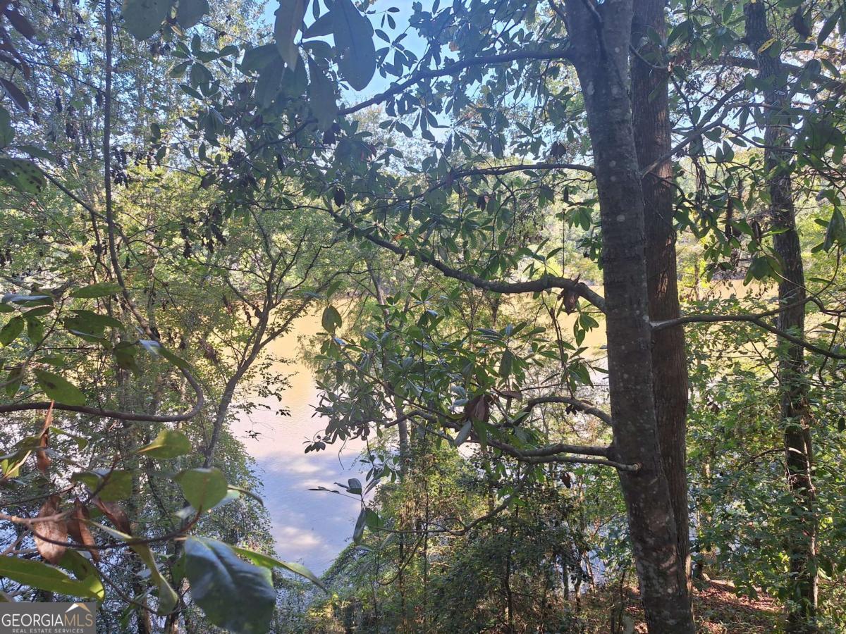 163 High Bluff Road Baxley, GA 31513 - Photo 33 of 51