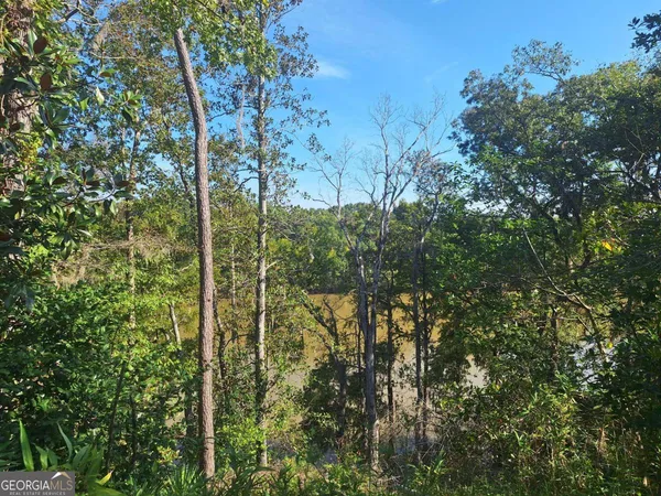 a view of a lake from a yard