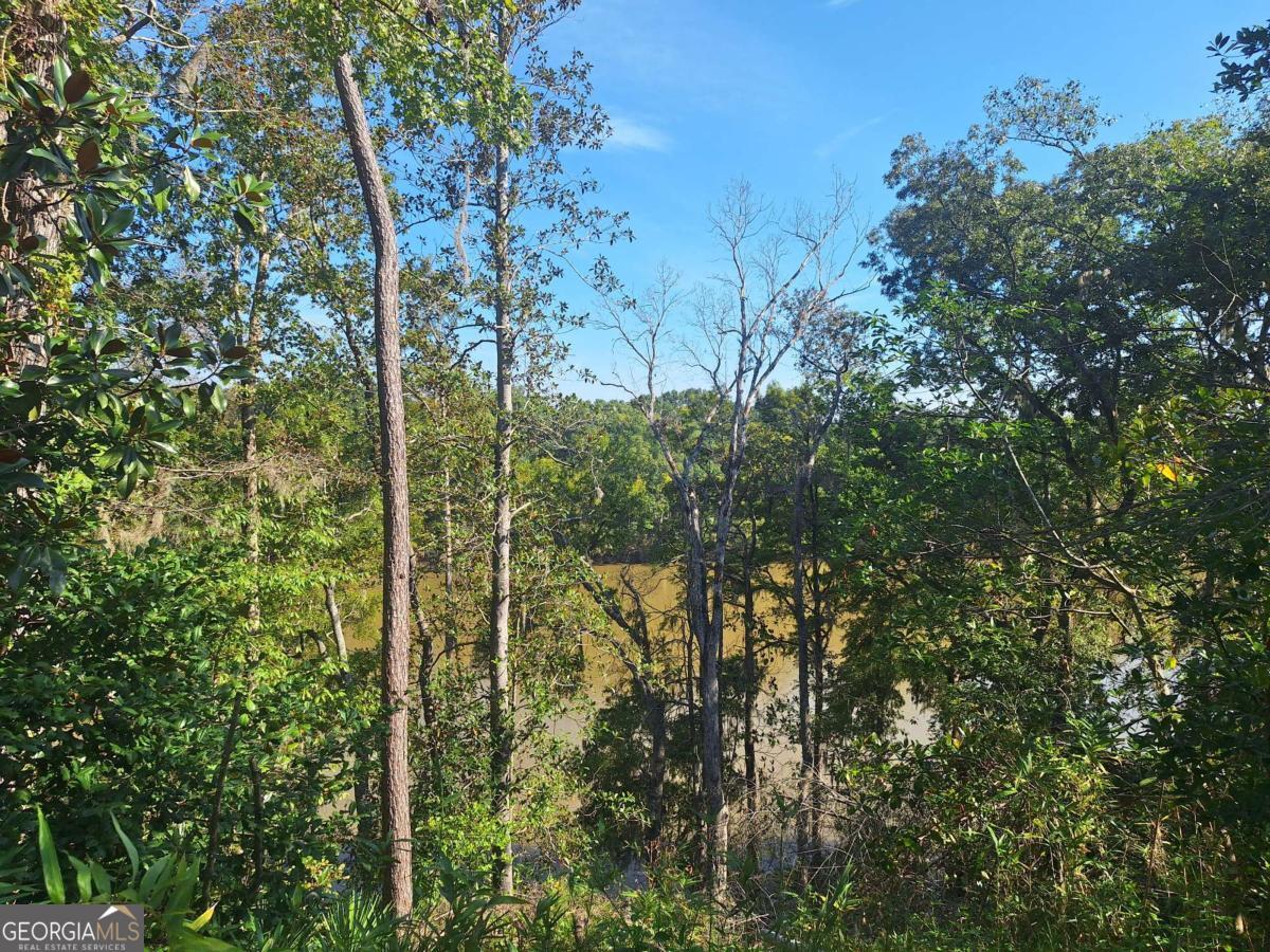 163 High Bluff Road Baxley, GA 31513 - Photo 34 of 51