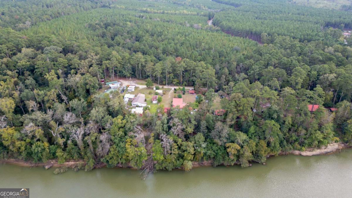 163 High Bluff Road Baxley, GA 31513 - Photo 44 of 51