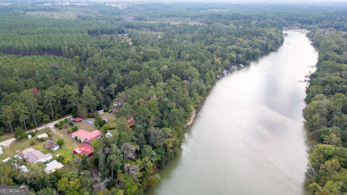 163 High Bluff Road Baxley, GA 31513 - Photo 46 of 51