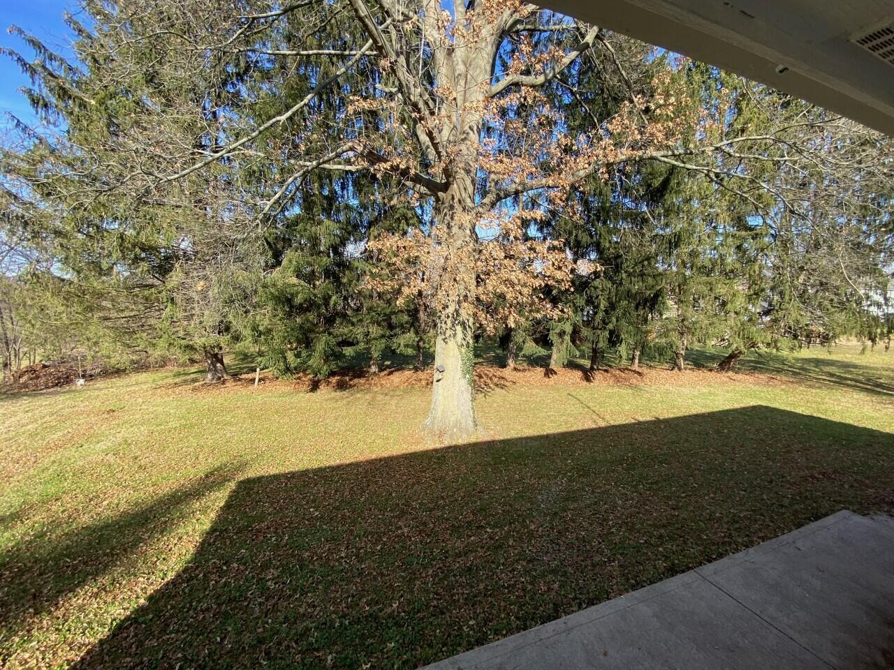 459 Edgemont Road Newark, OH 43055 - Photo 20 of 20 Back yard