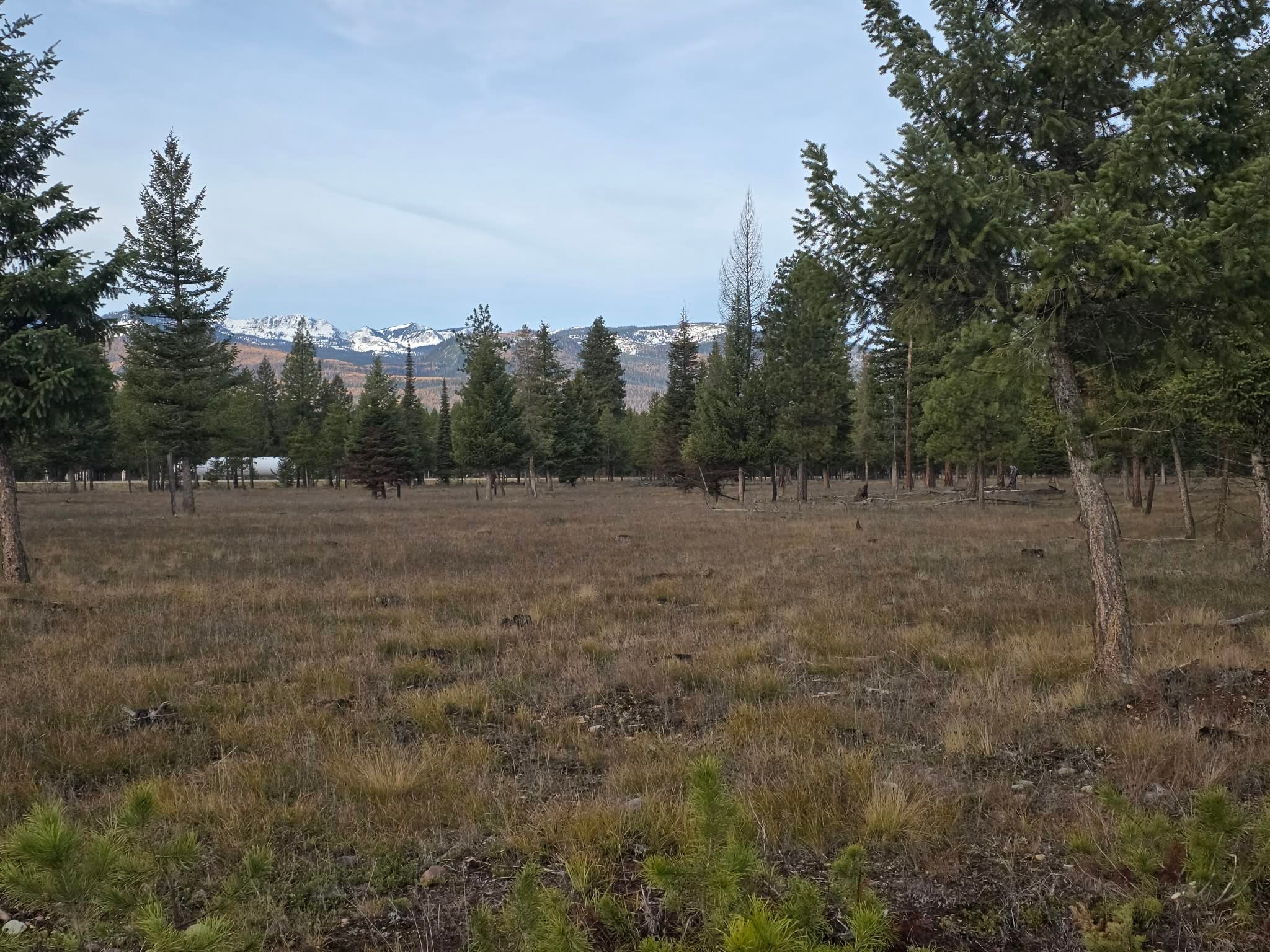Nhn Hollopeter Road Condon, MT 59826 - Photo 11 of 72 Flat property with gorgeous view of the mountains