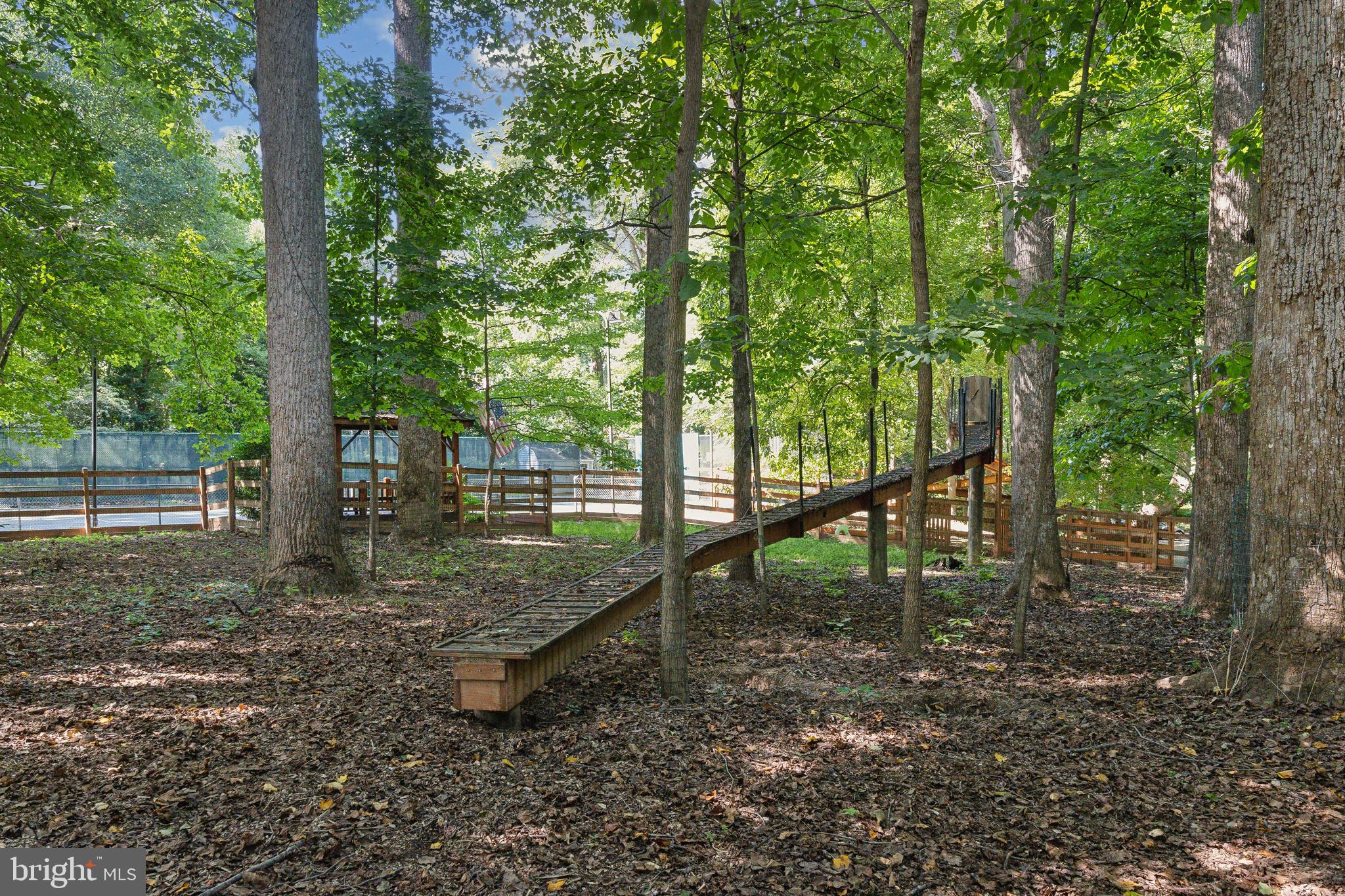 11540 Springridge Road Potomac, MD 20854 - Photo 26 of 35 a view of a forest filled with trees