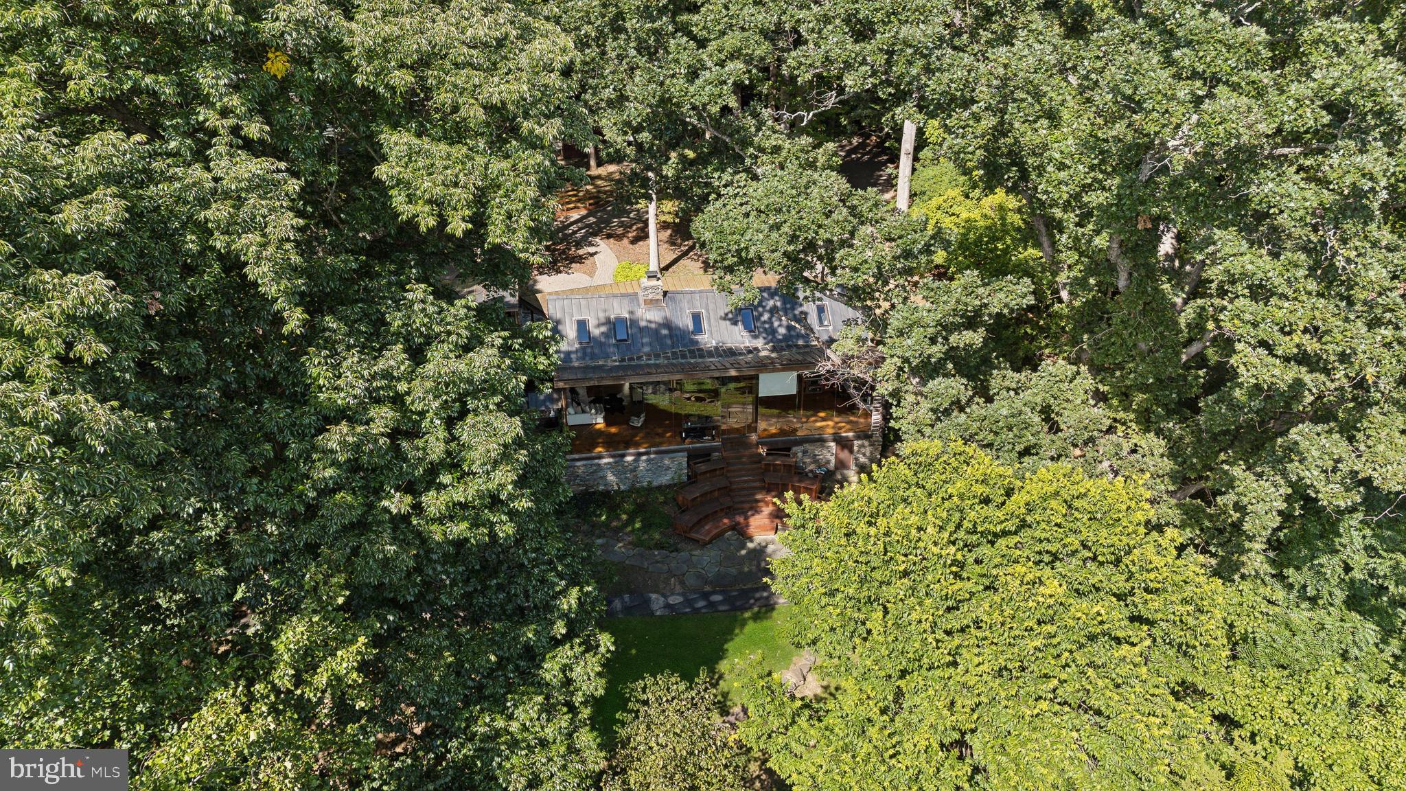 11540 Springridge Road Potomac, MD 20854 - Photo 35 of 35 a picture of trees with a tree