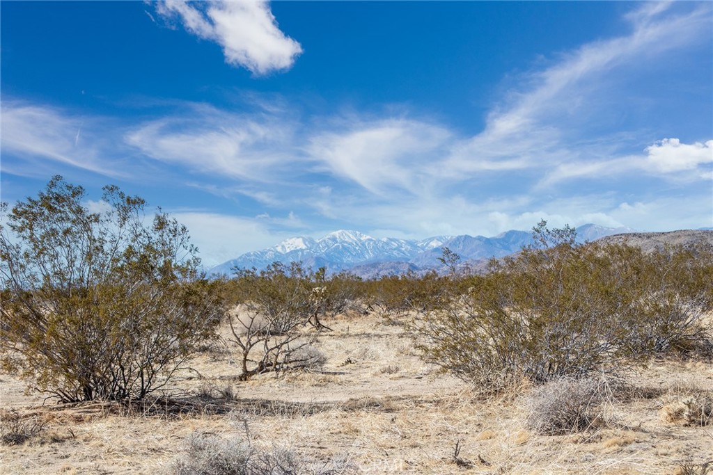 2222 Valley Vista Road Johnson Valley, CA 92285 - Photo 4 of 4