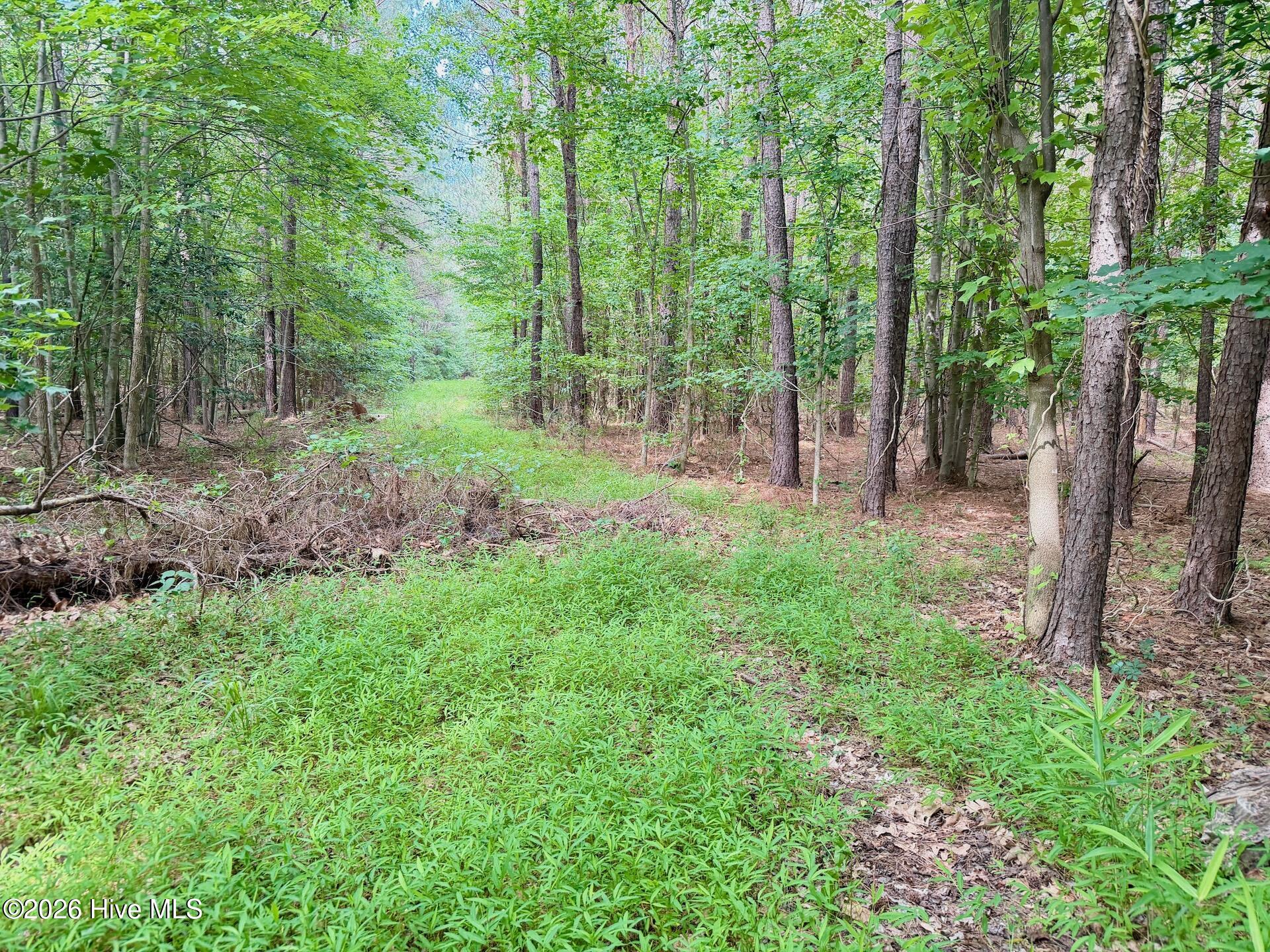 0 Off 1040d Republican Road Windsor, NC 27983 - Photo 24 of 27 6