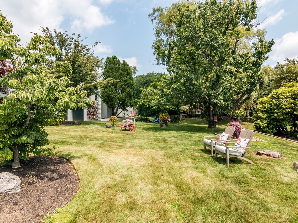 64 Grapevine Road Gloucester, MA 01930 - Photo 5 of 26 a swimming pool with some trees and plants