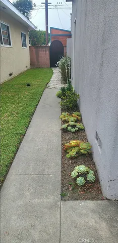 a view of a yard with potted plants