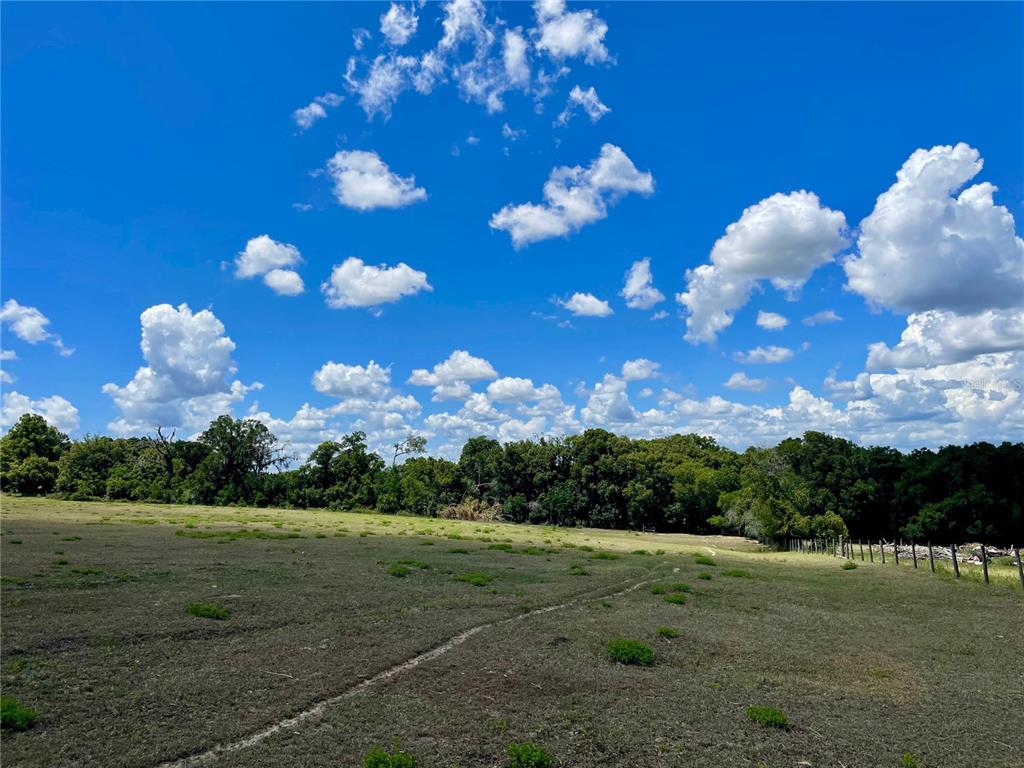 Parrish Grove Road Dade City, FL 33523 - Photo 6 of 23 a view of a big yard with lots of swings and slides