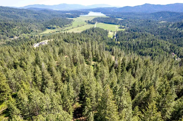 $195,000 | Xxx North Singing Hills Drive, Unit LOT 1 PARCEL #57211 9020, Newman Lake, WA 99025
