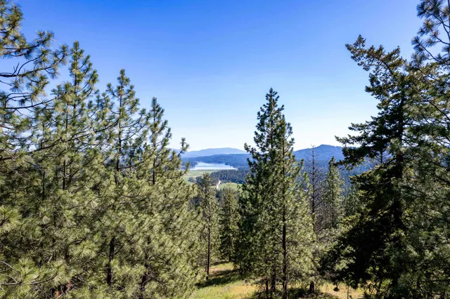 $195,000 | Xxx North Singing Hills Drive, Unit LOT 1 PARCEL #57211 9020, Newman Lake, WA 99025