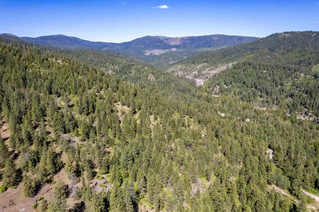 $195,000 | Xxx North Singing Hills Drive, Unit LOT 1 PARCEL #57211 9020, Newman Lake, WA 99025