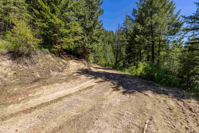$195,000 | Xxx North Singing Hills Drive, Unit LOT 1 PARCEL #57211 9020, Newman Lake, WA 99025