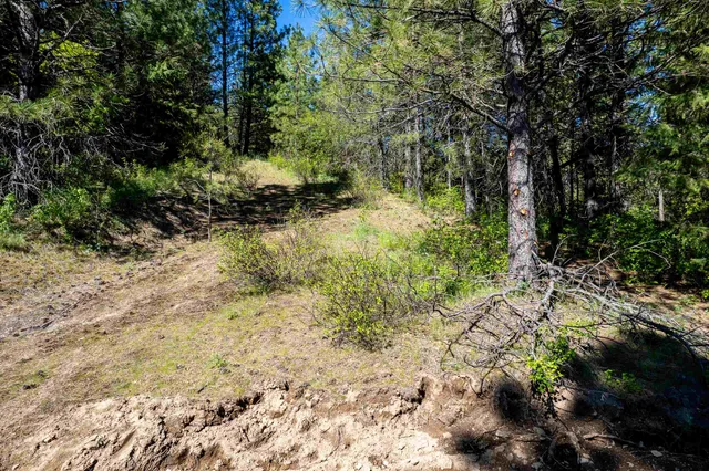 $195,000 | Xxx North Singing Hills Drive, Unit LOT 1 PARCEL #57211 9020, Newman Lake, WA 99025