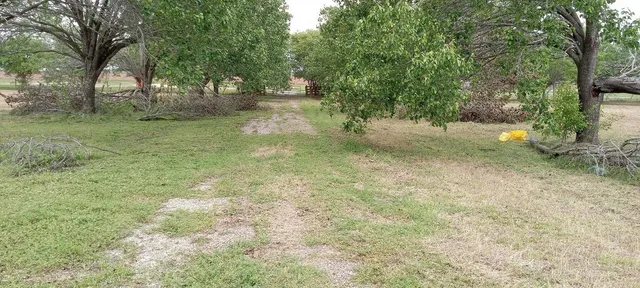 a view of a yard with a tree