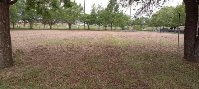 a view of outdoor space and yard