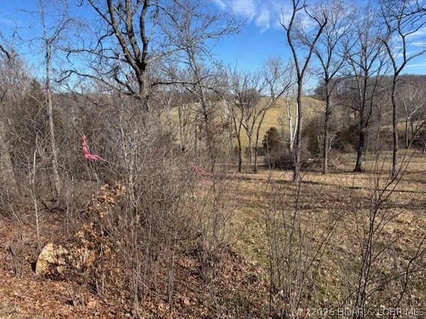 $35,500 | 190 State Rd O, Macks Creek, MO 65786