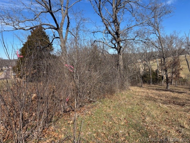 190 State Rd O Macks Creek, MO 65786 - Photo 12 of 13