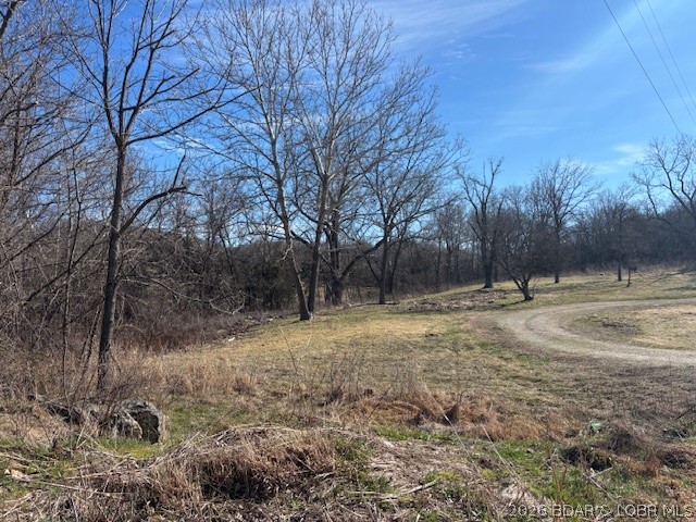 190 State Rd O Macks Creek, MO 65786 - Photo 3 of 13