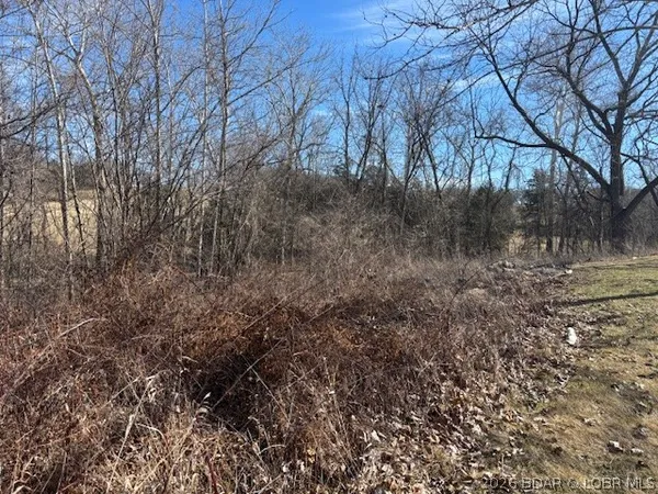 $35,500 | 190 State Rd O, Macks Creek, MO 65786