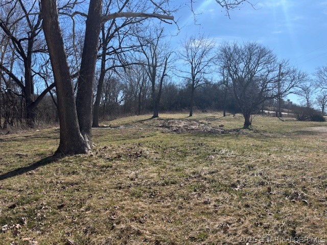 190 State Rd O Macks Creek, MO 65786 - Photo 5 of 13