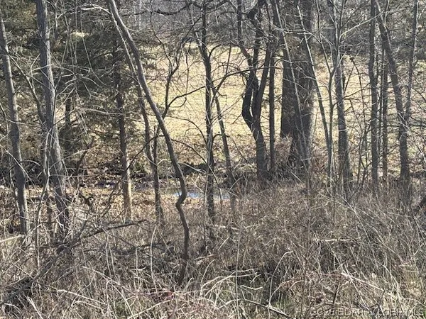 $35,500 | 190 State Rd O, Macks Creek, MO 65786