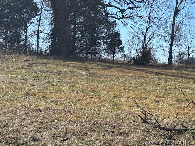 190 State Rd O Macks Creek, MO 65786 - Photo 8 of 13