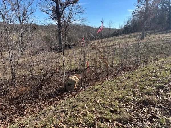 $35,500 | 190 State Rd O, Macks Creek, MO 65786