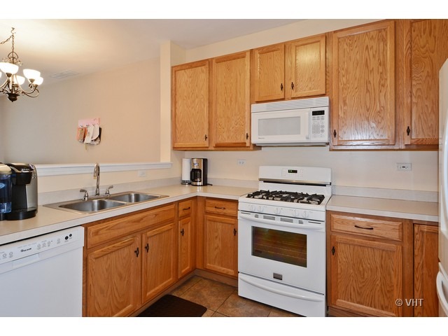 2456 Golf Ridge Circle, Unit 2456 Naperville, IL 60563 - Photo 3 of 10