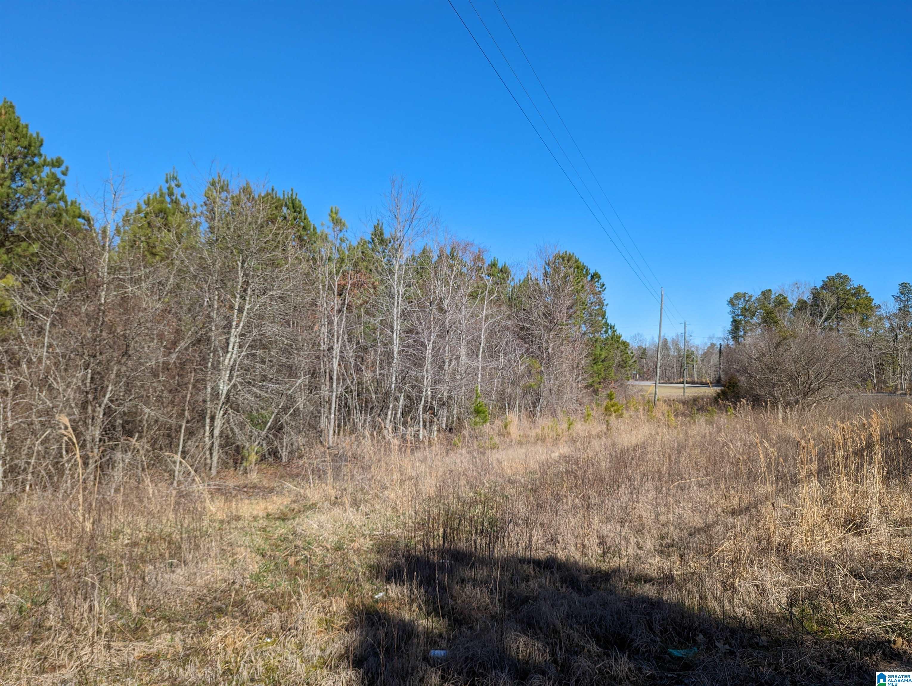 0 Chandler Springs Road Talladega, AL 35160 - Photo 34 of 35