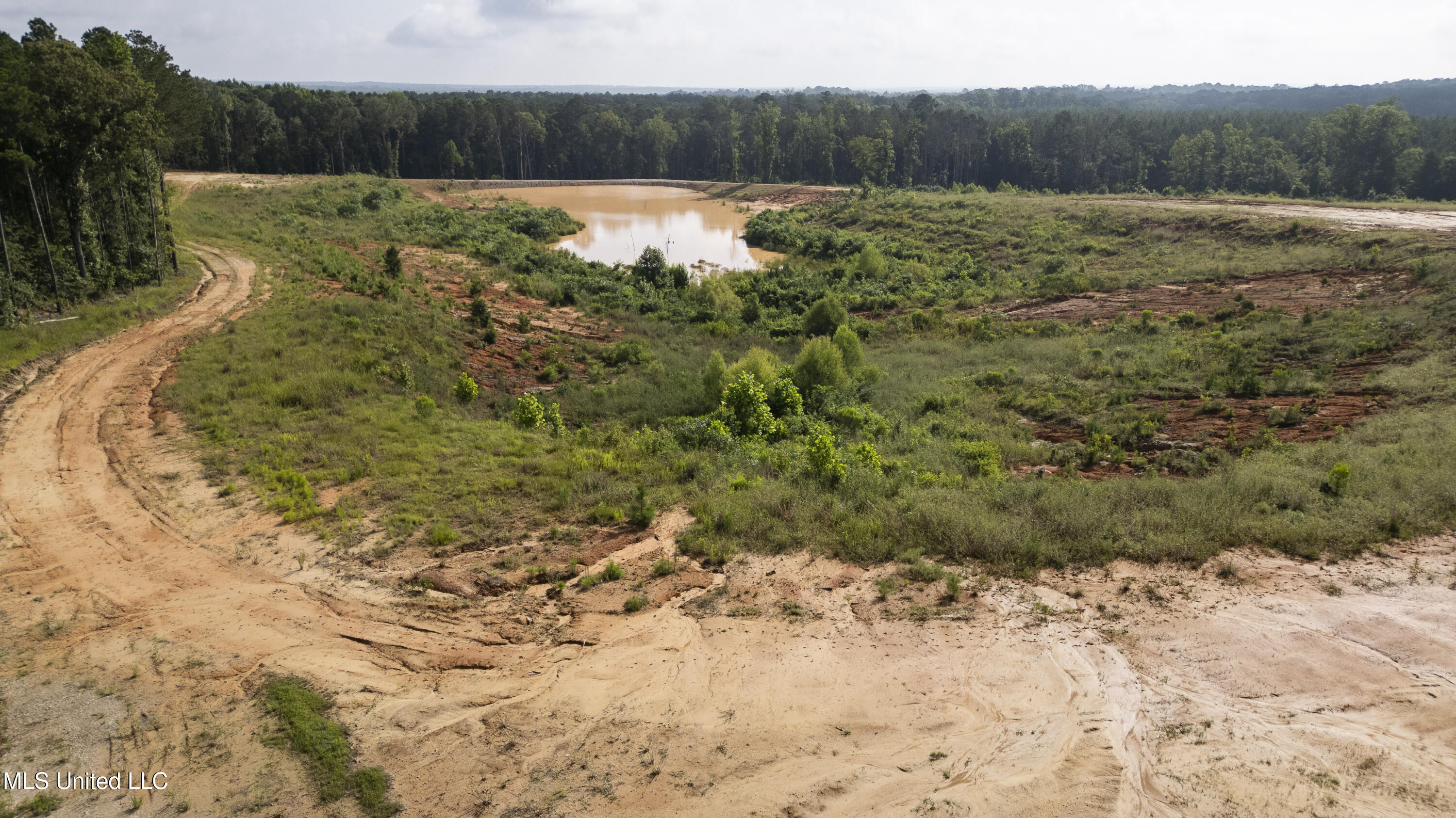 Wire Rd-Pelahatchie-1