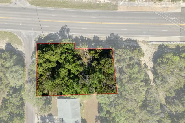 a view of a garden from a window