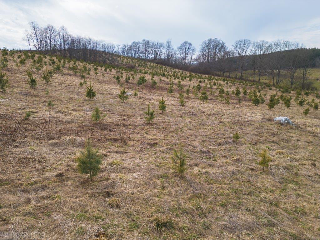 3 Long Mountain Road Southwest Willis, VA 24380 - Photo 28 of 66 Gallery Image 28